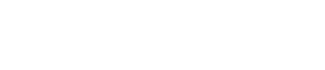 1차 전략